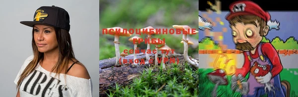 ПСИЛОЦИБИНОВЫЕ ГРИБЫ Богородицк