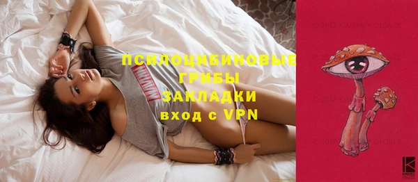 ешки Богородск