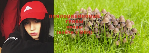 скорость Богданович