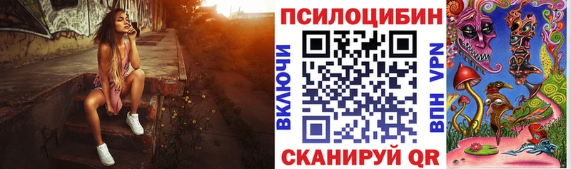 Галлюциногенные грибы Psilocybine cubensis  как найти закладки  Балашиха 